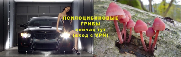 эйфоретик Аркадак