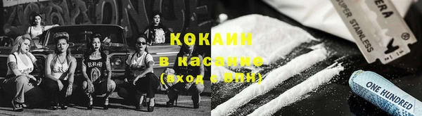 индика Армянск