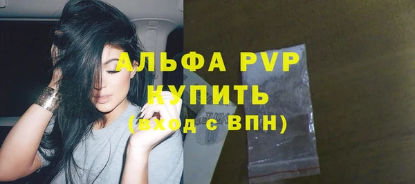 индика Армянск