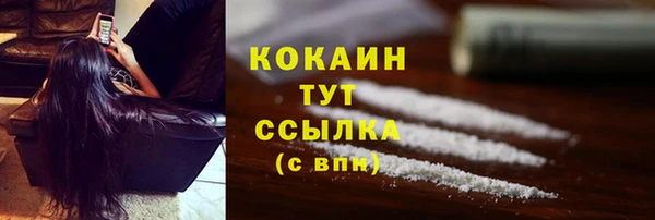 индика Армянск
